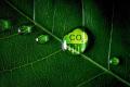 reduce carbon footprint
