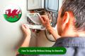 Boiler Grant Wales