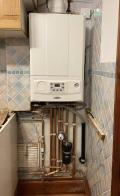 alpha boilers